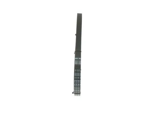 V-Ribbed Belt (1 987 946 035)