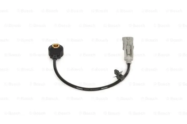 Knock Sensor