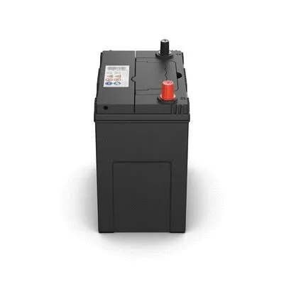Starter Battery