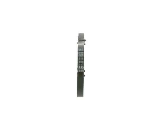 V-Ribbed Belt (1 987 946 040)