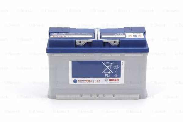 Starter Battery