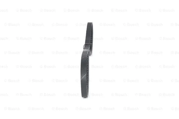 V-Belt