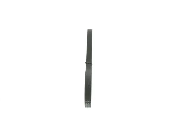 V-Ribbed Belt (1 987 946 026)