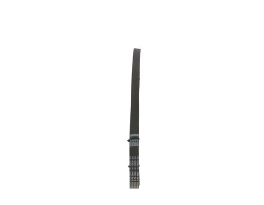 V-Ribbed Belt