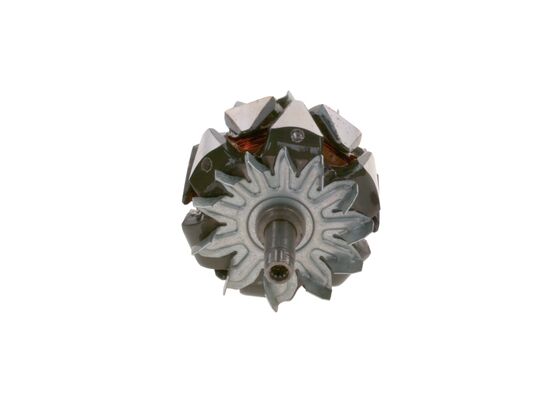 Rotor, alternator