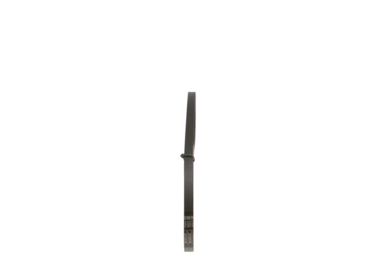 V-Ribbed Belt