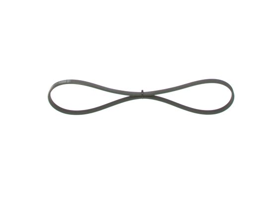 V-Ribbed Belt