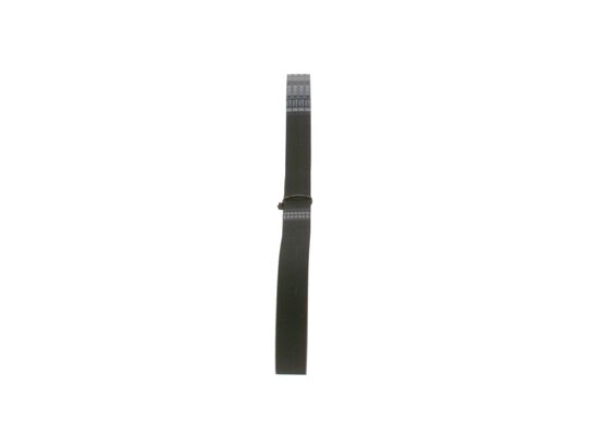 V-Ribbed Belt (1 987 946 036)