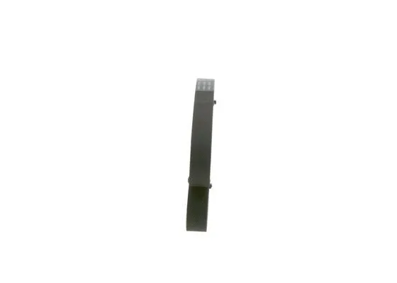 V-Ribbed Belt (1 987 946 051)