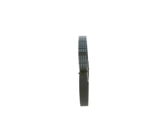 V-Ribbed Belt