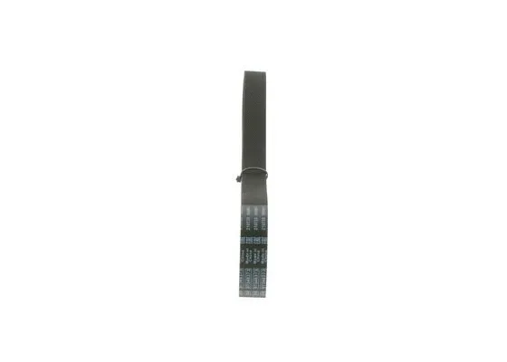 V-Ribbed Belt