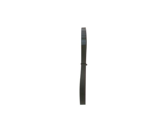 V-Ribbed Belt