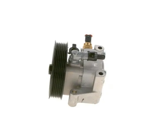 Hydraulic Pump, steering (K S00 000 118)