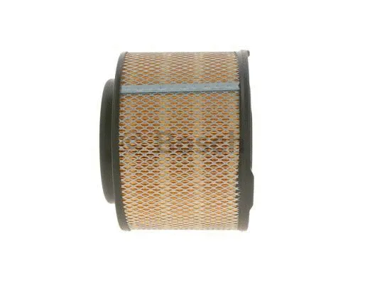 Air Filter (F 026 401 815)
