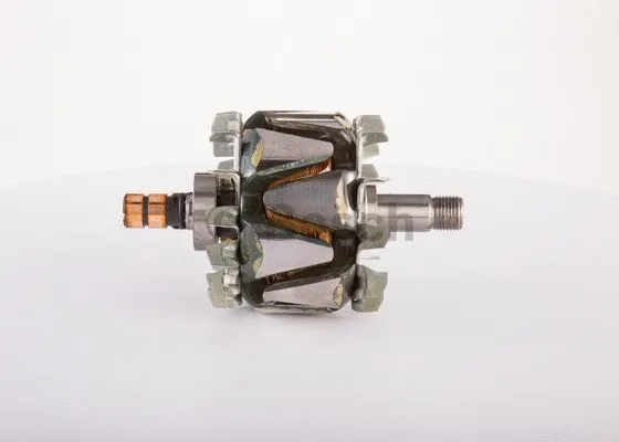 Rotor, alternator (F 00M 111 613)