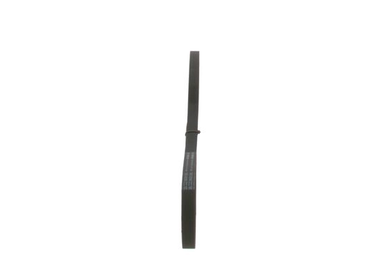 V-Ribbed Belt (1 987 947 919)