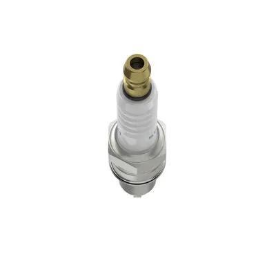 Spark Plug (F 01A 127 B02)