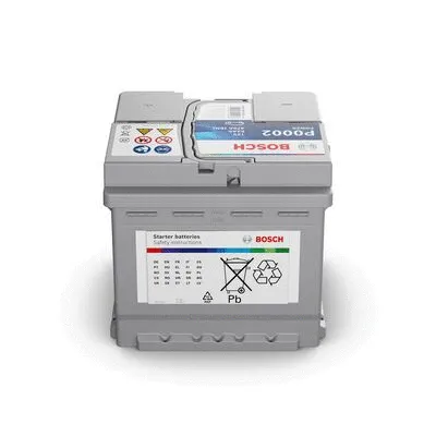 Starter Battery