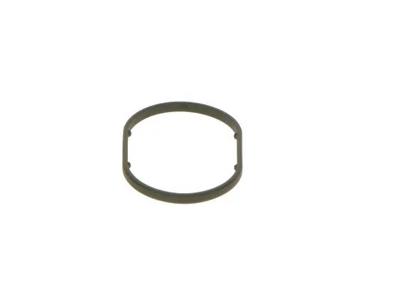 Seal Ring