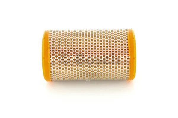 Air Filter (1 457 432 124)