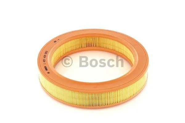Air Filter (1 457 429 053)