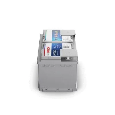 Starter Battery