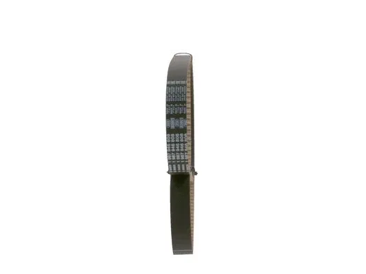 Timing Belt