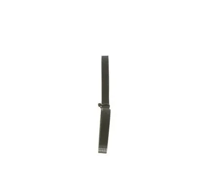 V-Ribbed Belt (1 987 947 803)