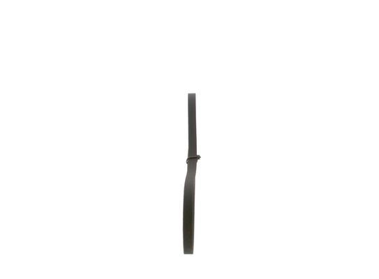 V-Ribbed Belt