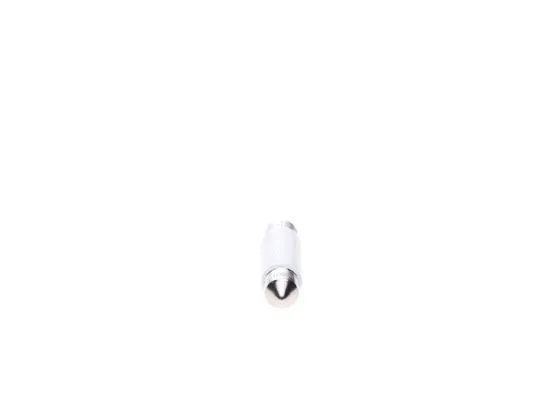 Bulb, licence plate light
