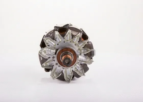 Rotor, alternator
