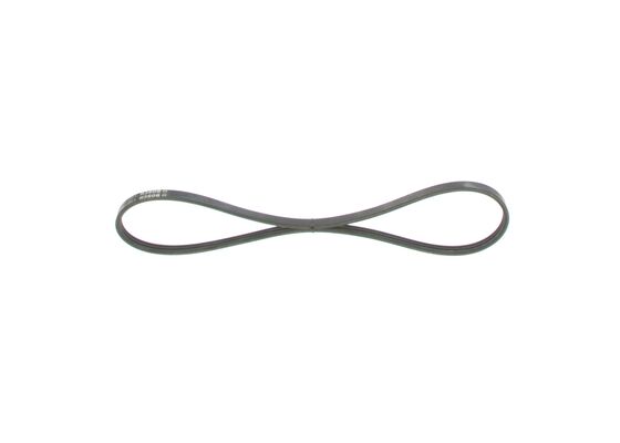 V-Ribbed Belt