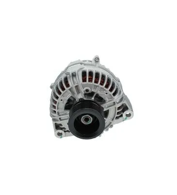 Alternator (0 124 655 191)