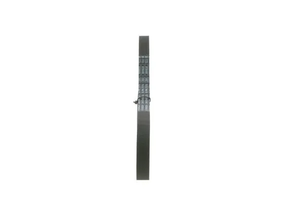 V-Ribbed Belt