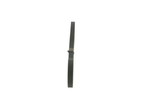 V-Ribbed Belt