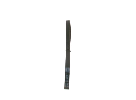 V-Ribbed Belt