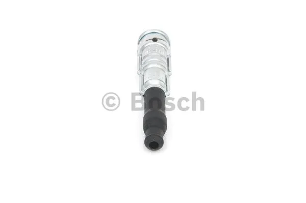 Plug, spark plug