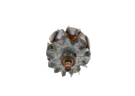 Rotor, alternator