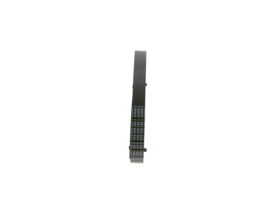 V-Ribbed Belt