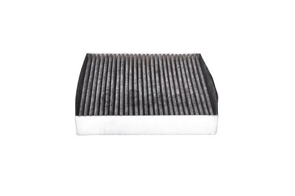 Filter, cabin air (1 987 435 031)