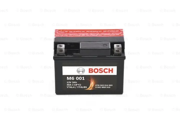 Starter Battery