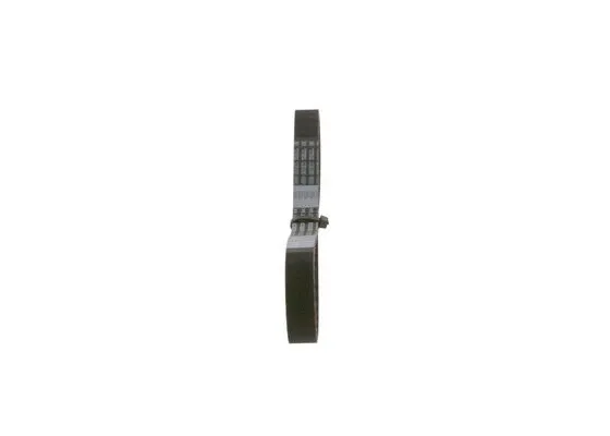 Timing Belt