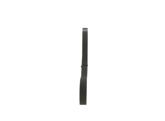 V-Ribbed Belt