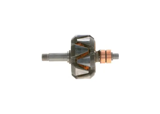 Rotor, alternator