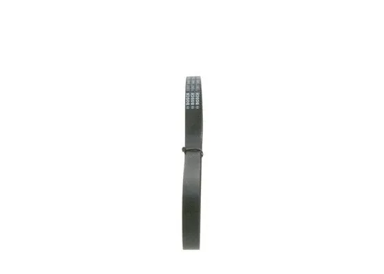 V-Ribbed Belt