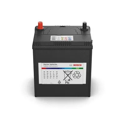 Starter Battery