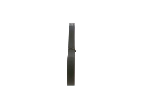 V-Ribbed Belt