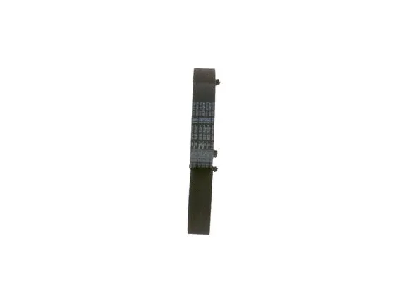 Timing Belt