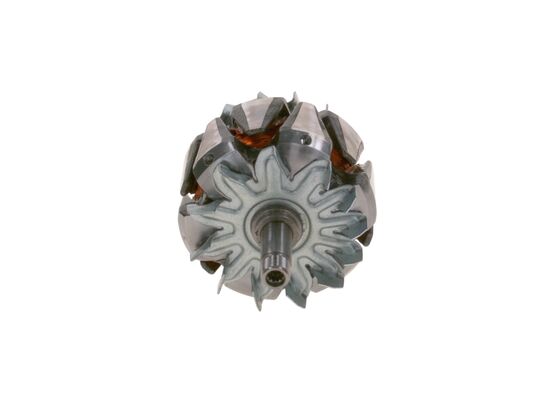 Rotor, alternator