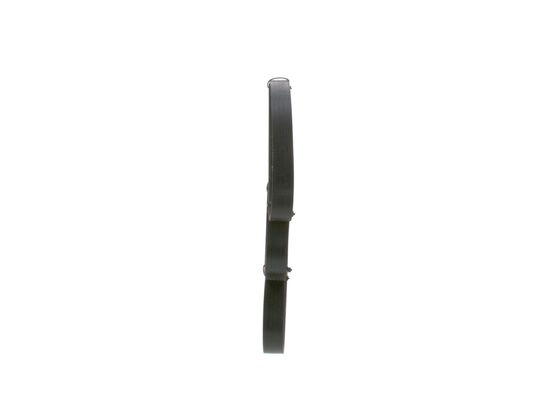 V-Ribbed Belt